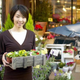 Illustration for article titled Florist Inundated With GM Cash For Clunkers Calls